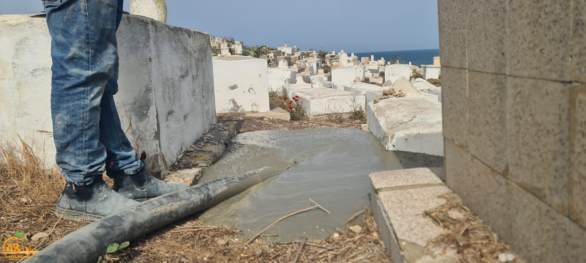 WhatsApp Image 2023-06-03 at 10.12.32 AM (2).jpeg